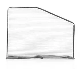 BSG 90-145-008 BSG Фильтр, воздух во внутренном пространстве